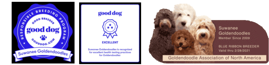 Goldendoodle Association